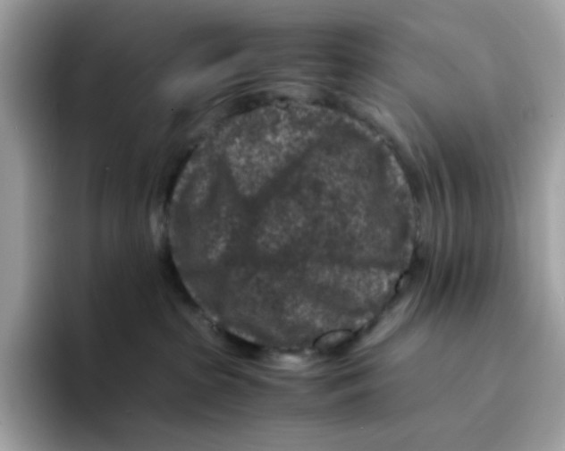 X0000094340285200711301255