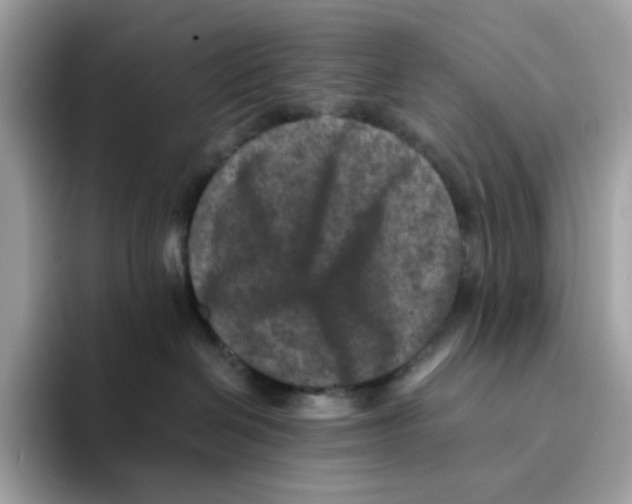 X0000094340286200711301255