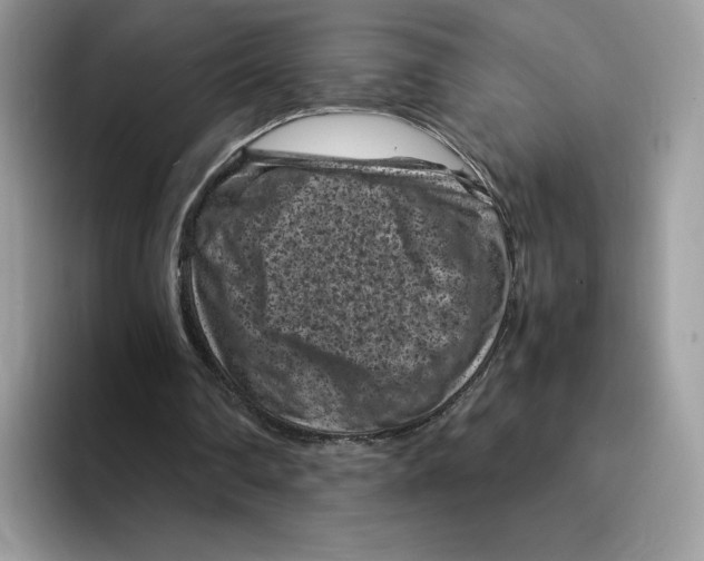 X0000094340290200711301254