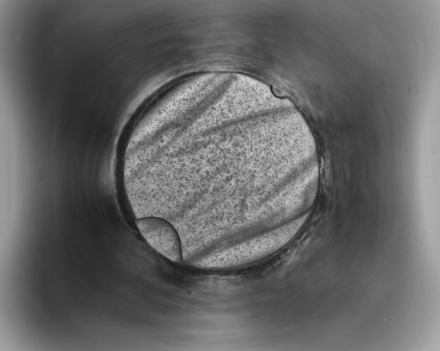 X0000094340292200711301254