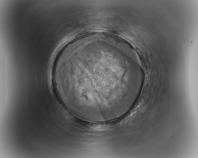 X0000094340293200711301254