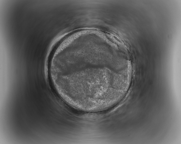 X0000094340294200711301254