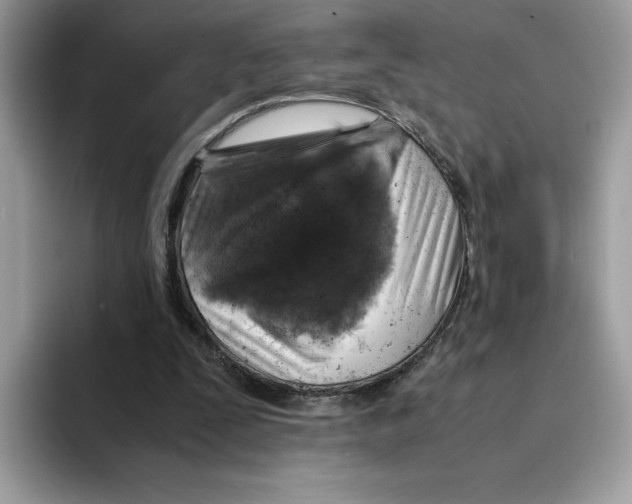 X0000094340295200711301254