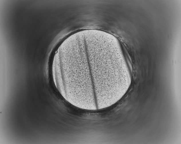 X0000094340296200711301254