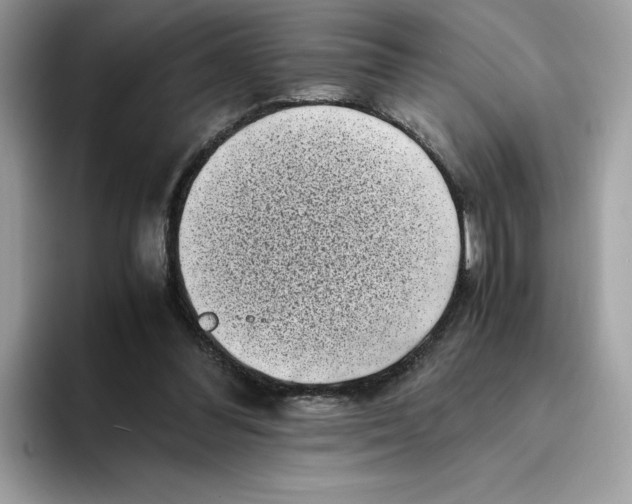 X0000094340300200711301254