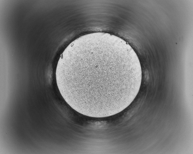 X0000094340304200711301254