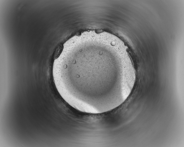 X0000094340305200711301254