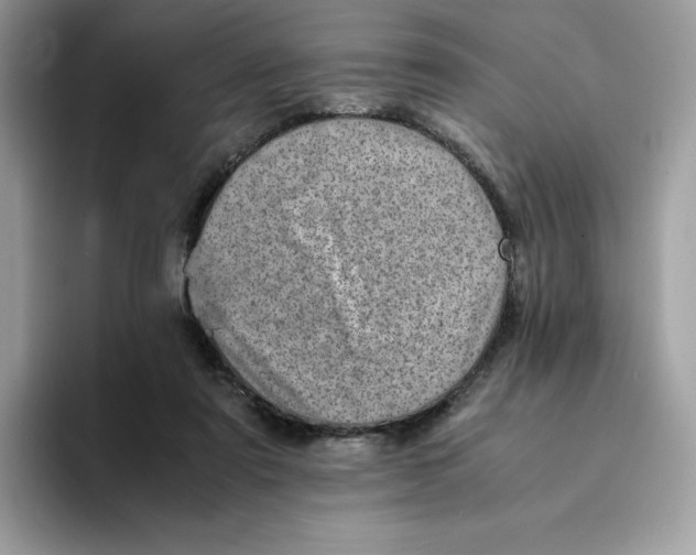 X0000094340307200711301254