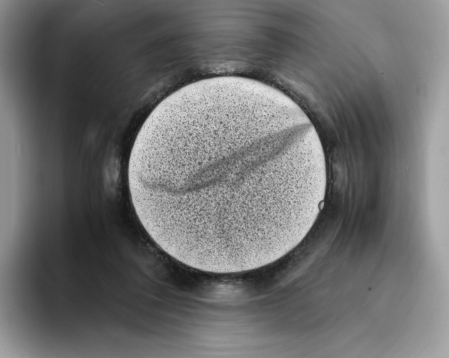 X0000094340308200711301254