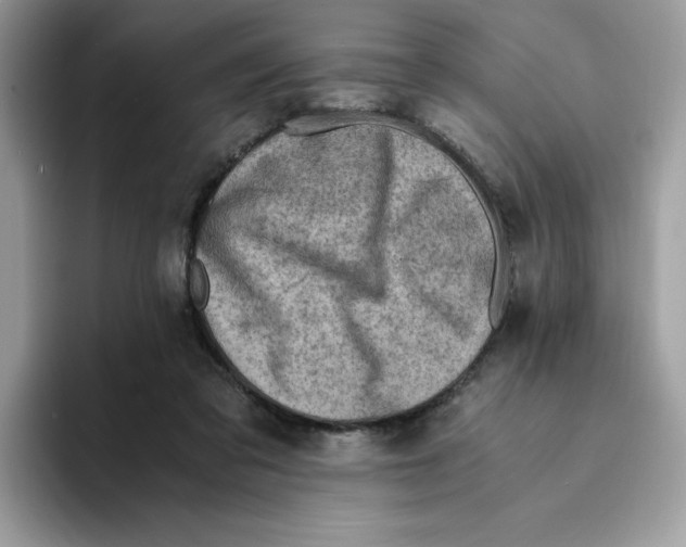 X0000094340309200711301254