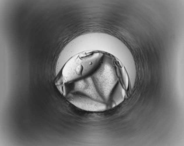 X0000094340320200711301254