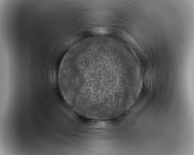 X0000094340330200711301254