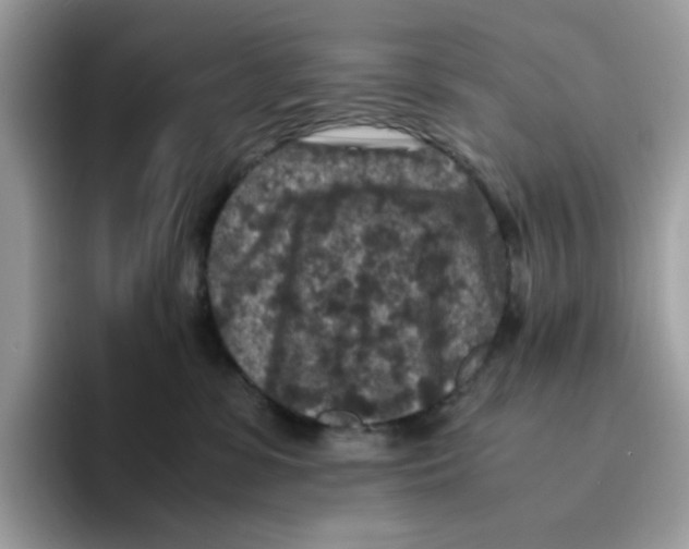 X0000094340331200711301254