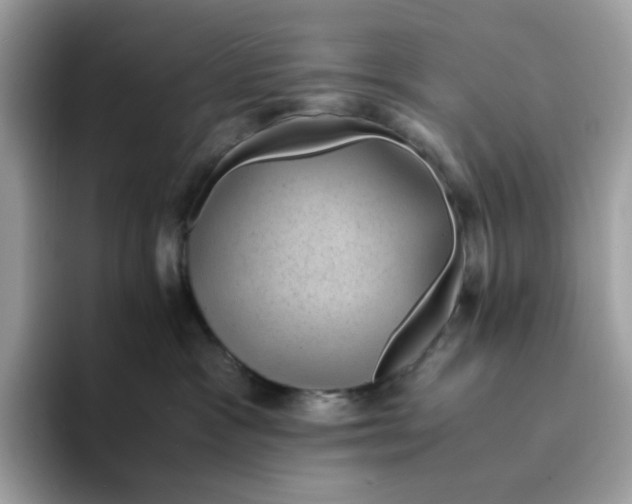 X0000094340333200711301253