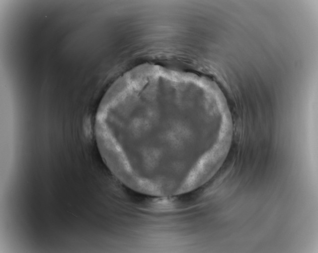 X0000094340335200711301253