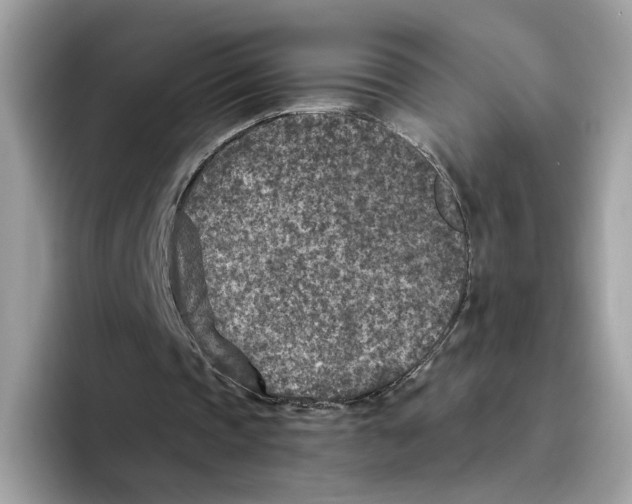 X0000094340337200711301253