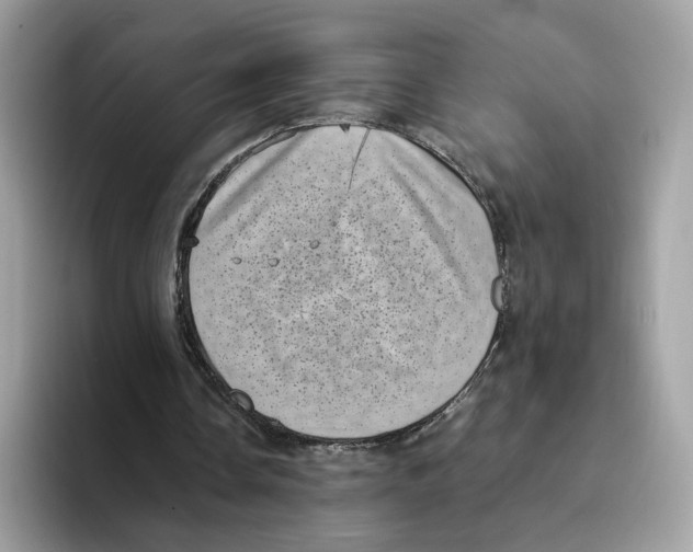 X0000094340338200711301253