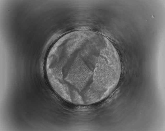 X0000094340341200711301253