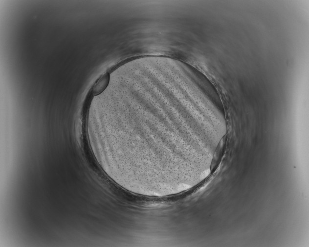 X0000094340342200711301253