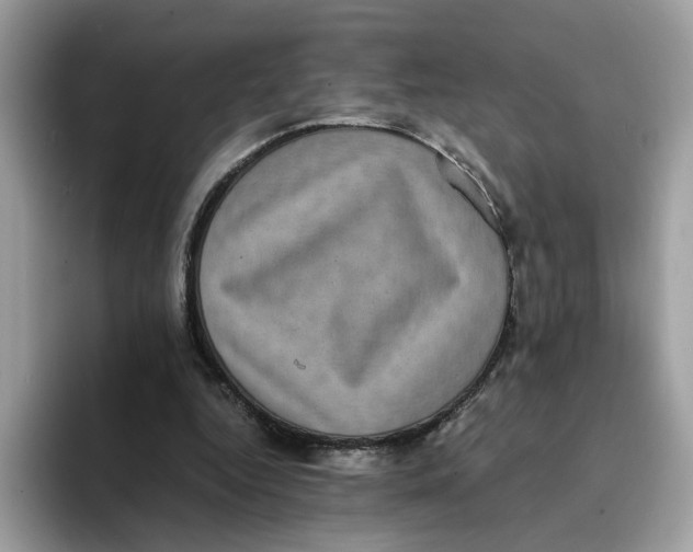 X0000094340344200711301253