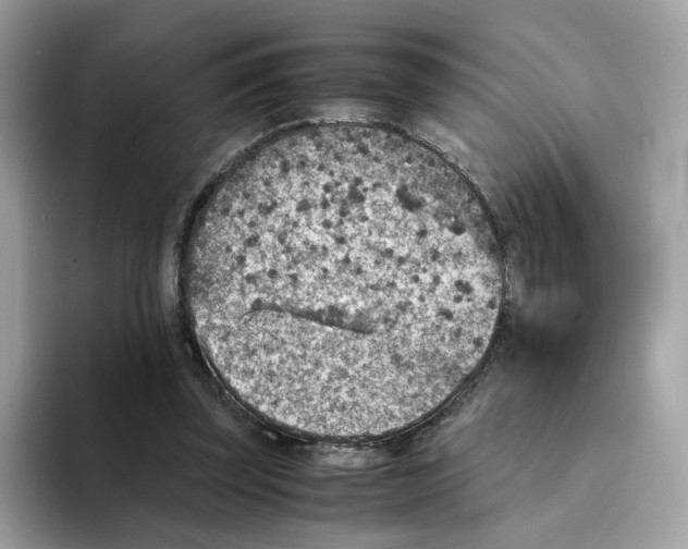 X0000094340347200711301253