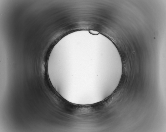 X0000094340350200711301253