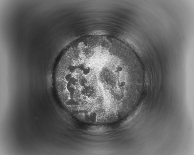 X0000094340351200711301253