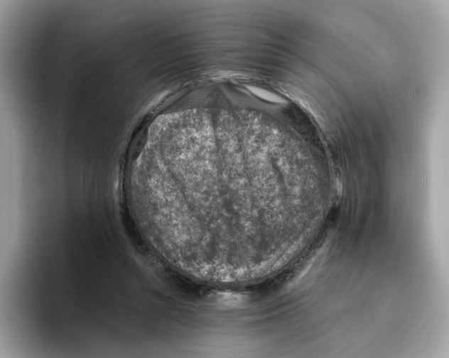 X0000094340352200711301253