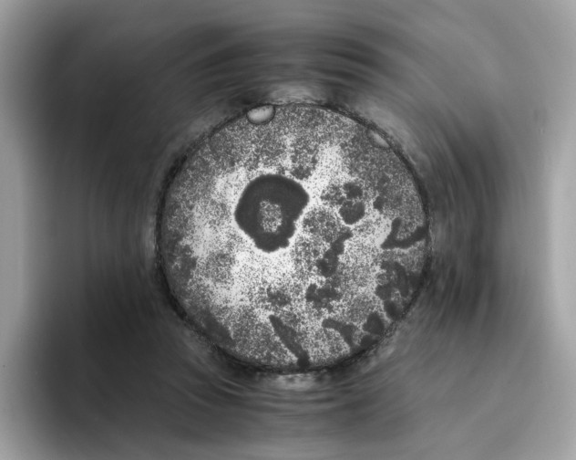 X0000094340353200711301253