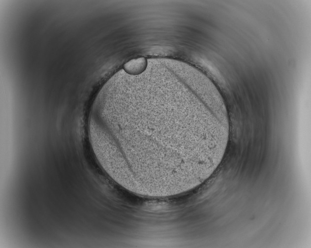 X0000094340354200711301253