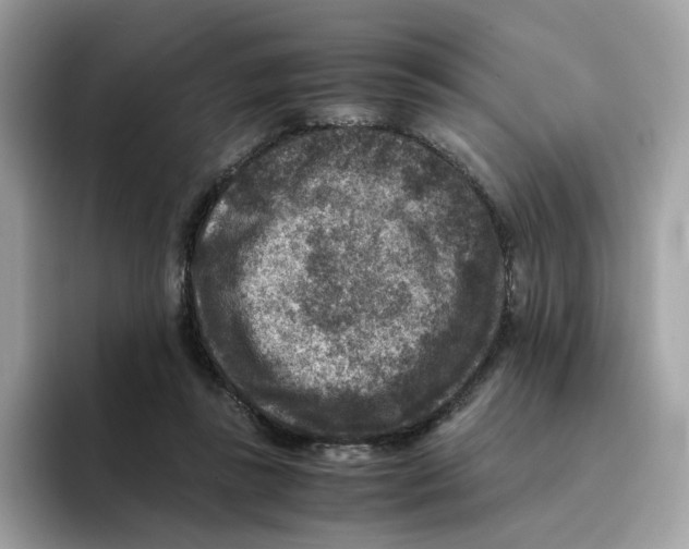 X0000094340355200711301253