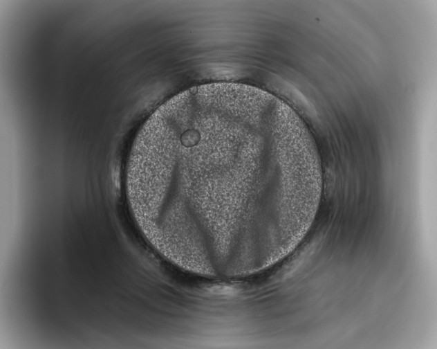 X0000094340358200711301253