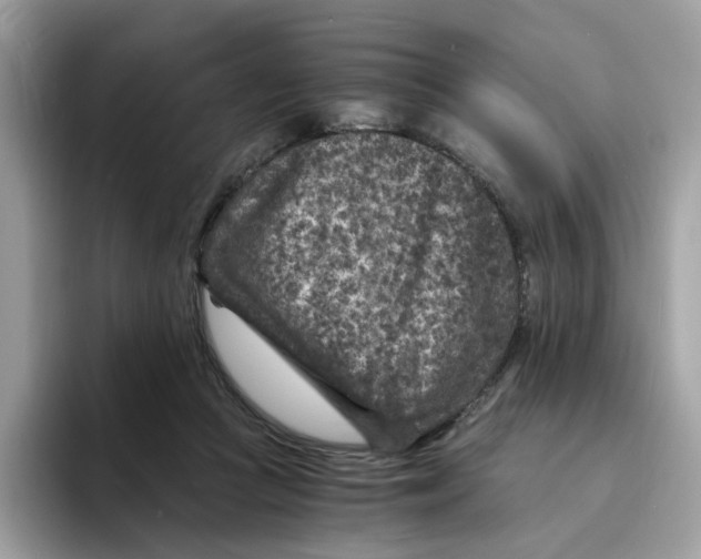 X0000094340361200711301253