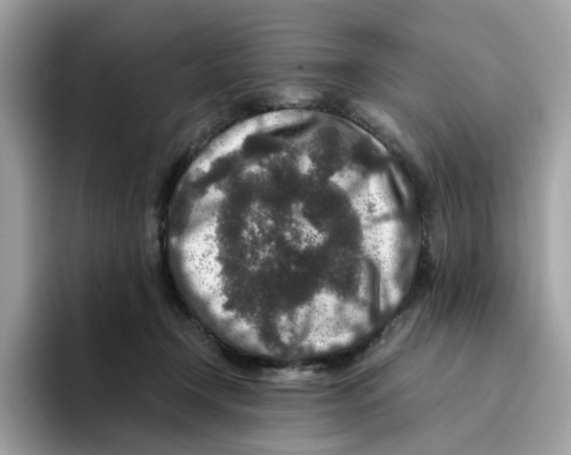 X0000094340366200711301253