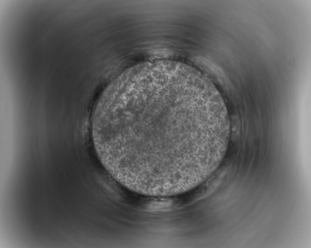 X0000094340369200711301253