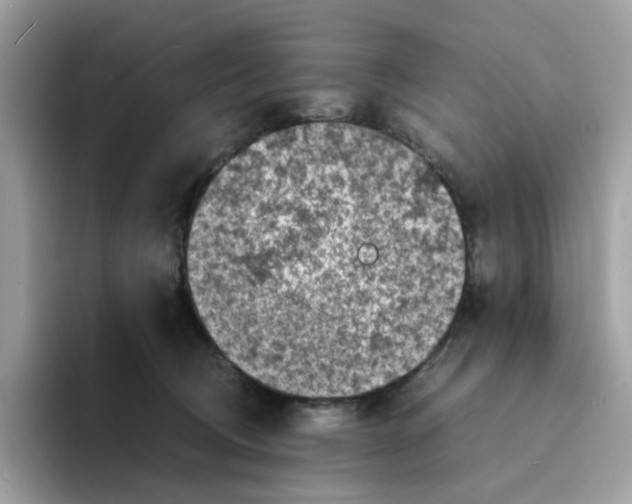 X0000094340370200711301253