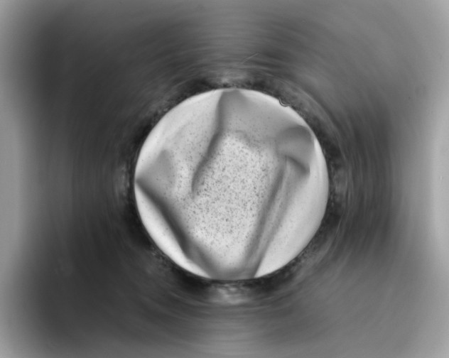 X0000094340372200711301253