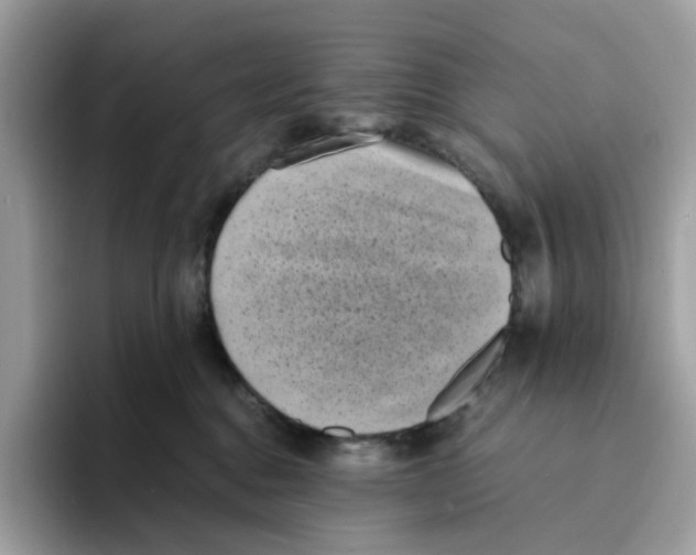 X0000094340376200711301253