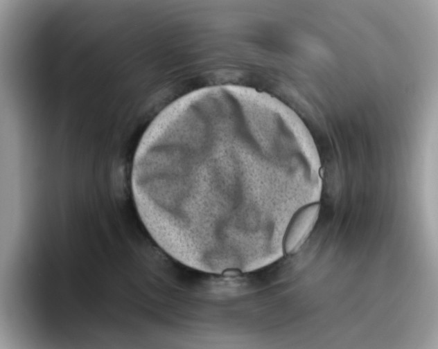 X0000094340378200711301253