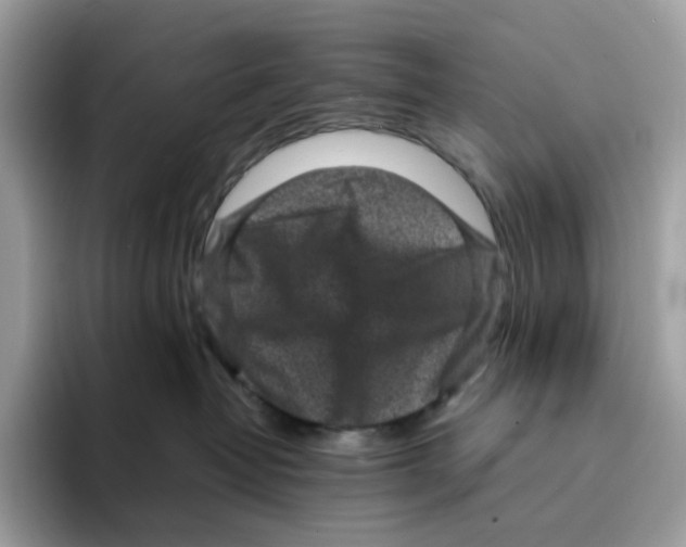 X0000094340382200711301253