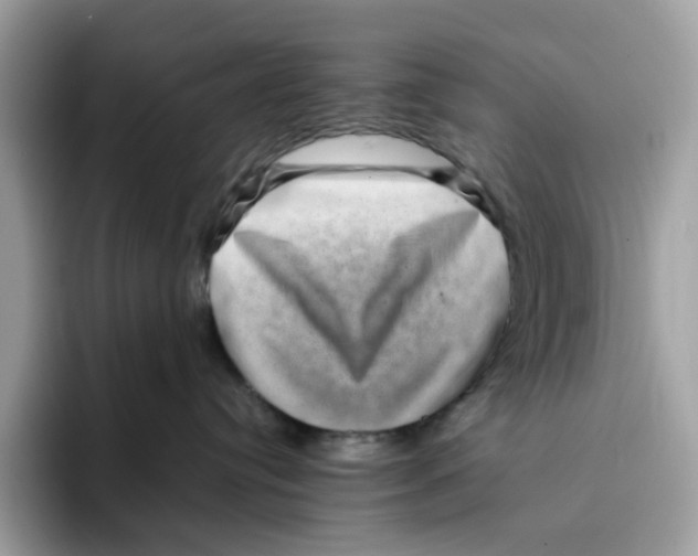 X0000094340384200711301253