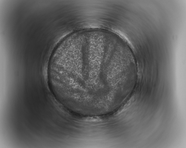 X0000094340386200711301253