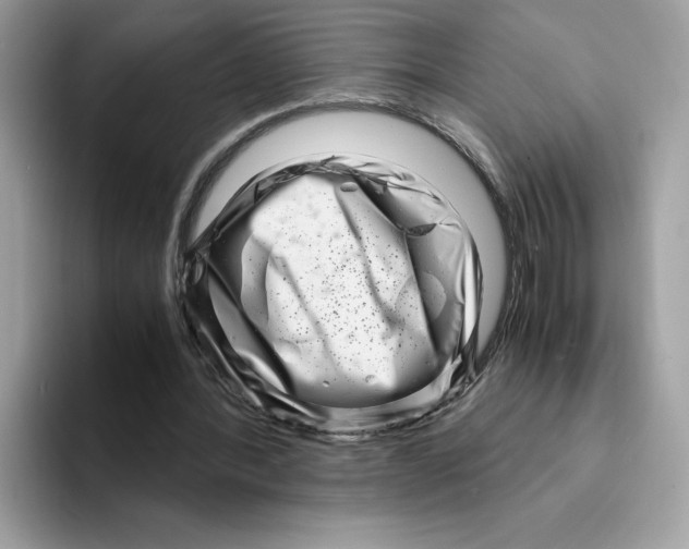 X0000094340388200711301253