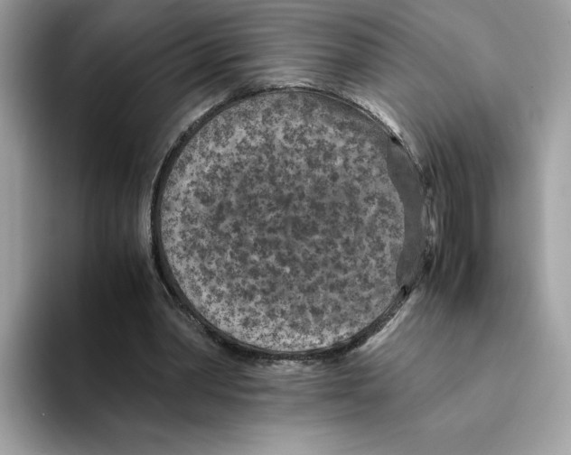 X0000094340390200711301253