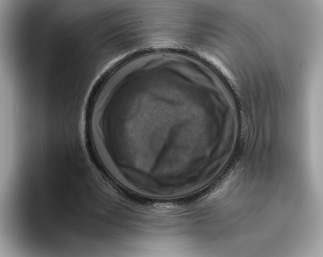 X0000094340391200711301253