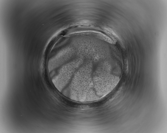 X0000094340392200711301253