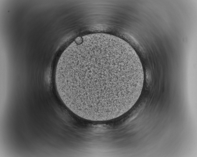 X0000094340396200711301253