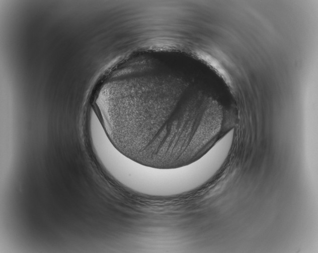 X0000094340399200711301253