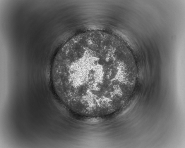 X0000094340402200711301253