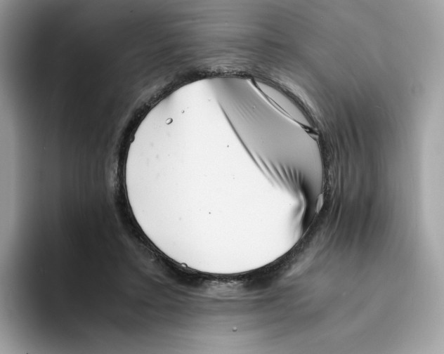 X0000094340403200711301253